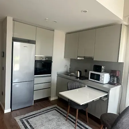 Toya Next Project, Istanbul, Turkey Apartment *